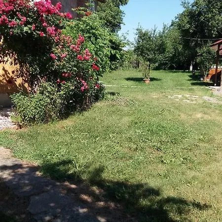 Casa Pandrea * Cartisoara