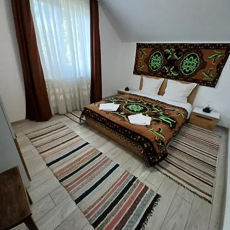 Casa Pandrea Cartisoara
