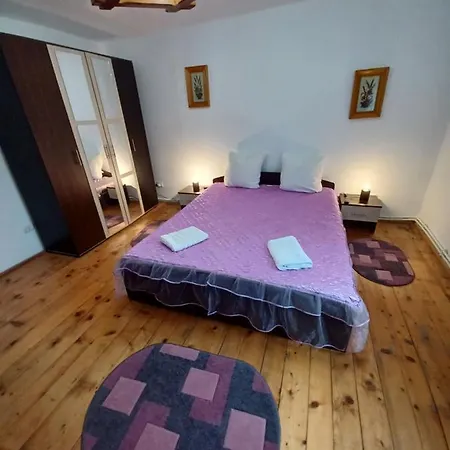 Casa Pandrea * Cartisoara