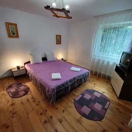 Casa Pandrea *
