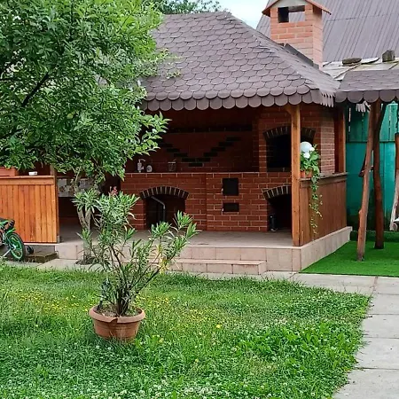 Casa Pandrea * Cartisoara